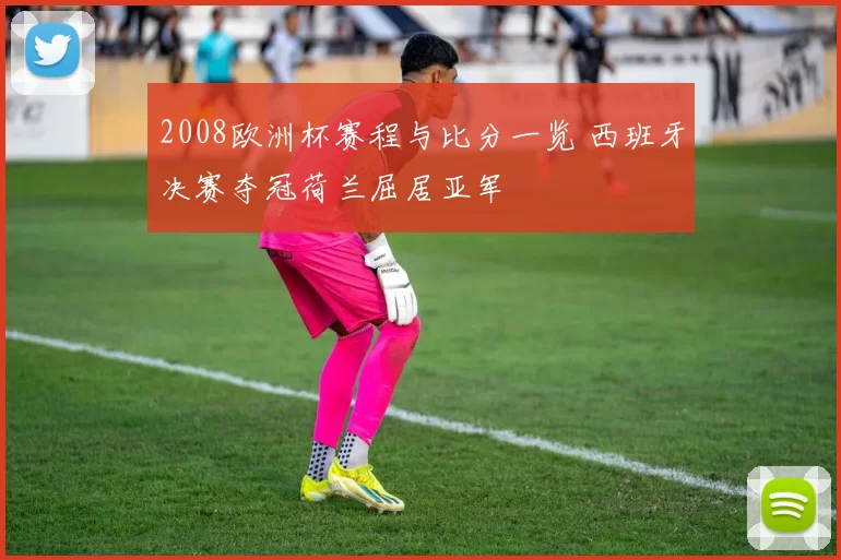 2008欧洲杯赛程与比分一览 西班牙决赛夺冠荷兰屈居亚军