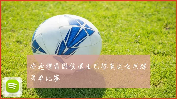 安迪穆雷因伤退出巴黎奥运会网球男单比赛